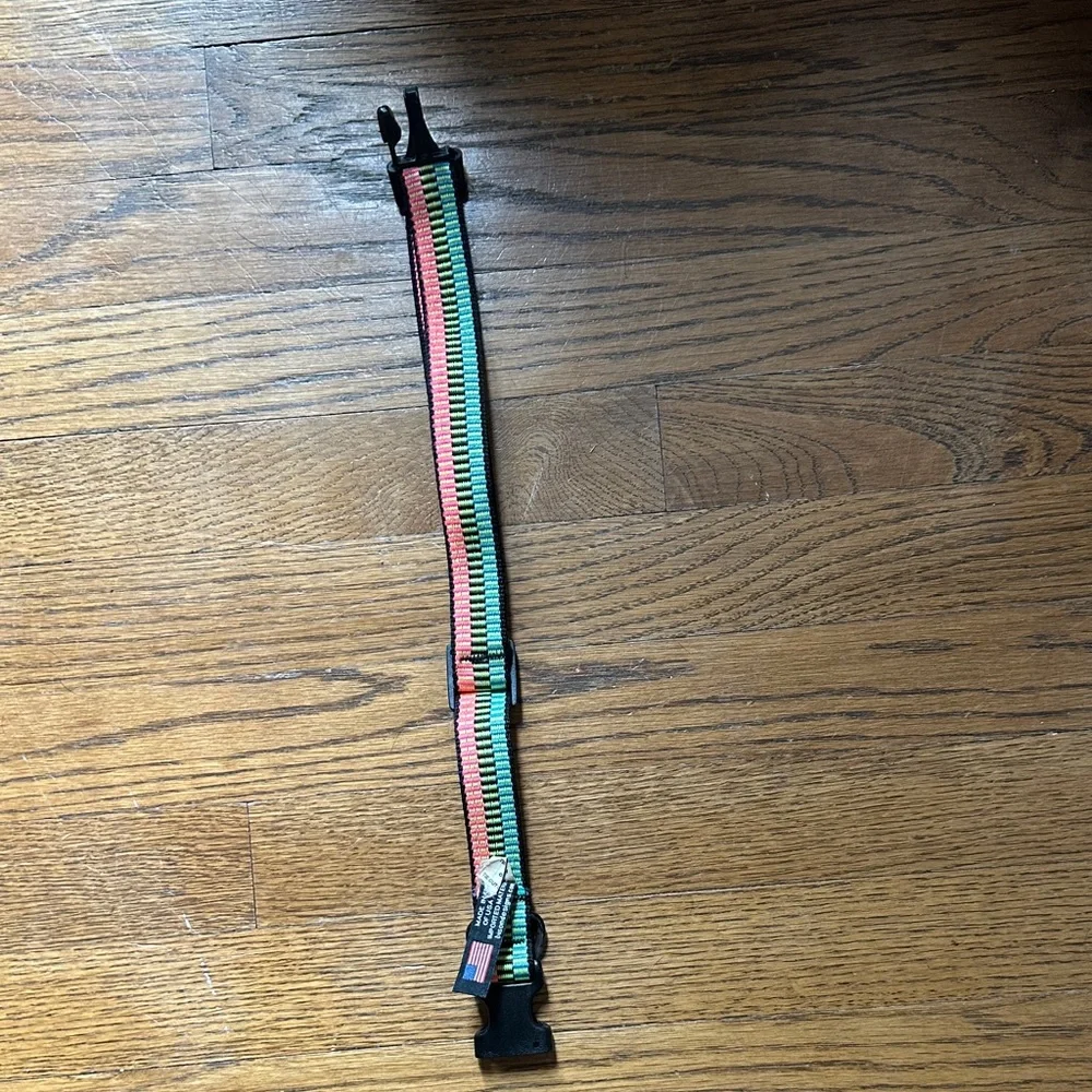 Colorful Neon Dog Collar! 15”-24”